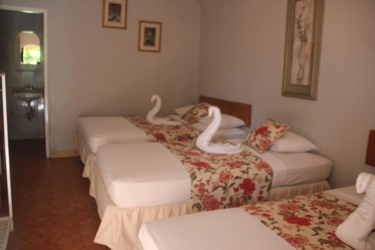 סן חואן דל סור Royal Chateau Hotel מראה חיצוני תמונה